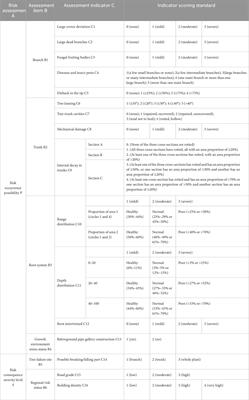 Construction of street tree risk assessment system and empirical analysis based on non-destructive testing technologies